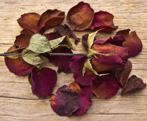 Naklejka na ściany i meble Dry red roses on old wooden background