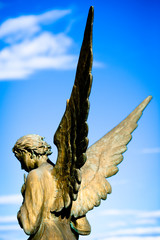 angelo di bronzo - bronze angel