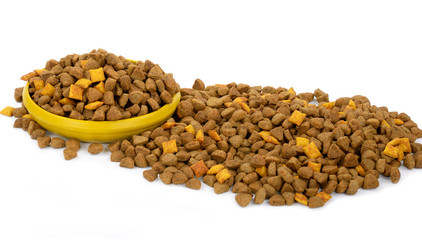 Dog dry food in a bowl