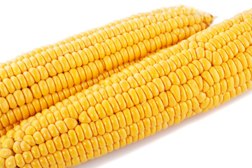 Corn cobs