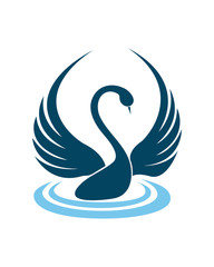 Obraz premium Swan on lake