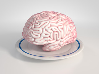 Brain on a saucer