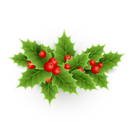 Christmas  holly with berries.