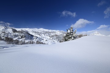 Fototapeta na wymiar Uncontaminated winter mountainscape