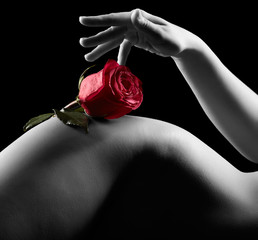 Woman's silhouette