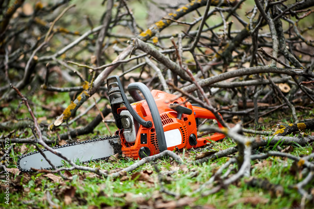 Wall mural gasoline professional chainsaw cutting branches