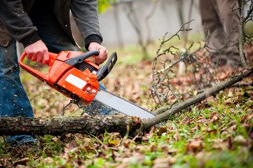 man with gasoline powered chainsaw cutting fire wood from trees