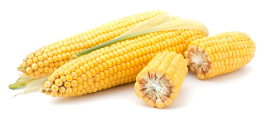 Fresh raw corn cobs isolated on the white background