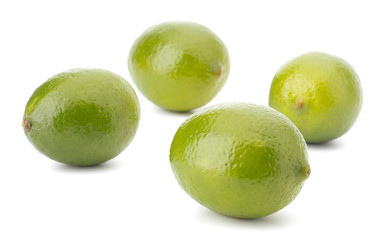 Fresh lime fruit Isolated on white background