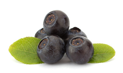 Fresh blueberries isolated on white background