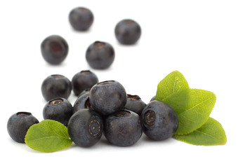 Fresh blueberries isolated on white background