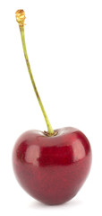 Cherry isolated on white background