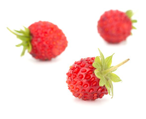 Wild strawberry isolated on white background