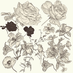 Collection of hand drawn detailed  flowers for design
