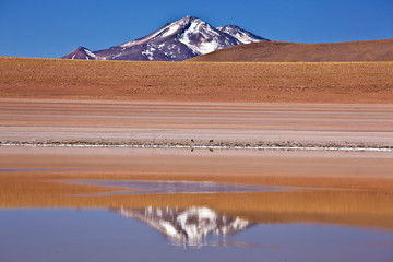 Bolivia - Laguna Hedionda