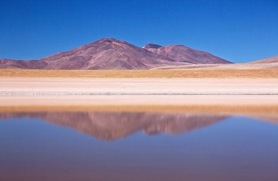 Bolivia - Laguna Hedionda