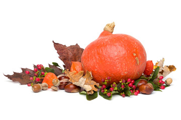 Autumn - Still-Life with hokkaido Pumpkin - Isolated on White