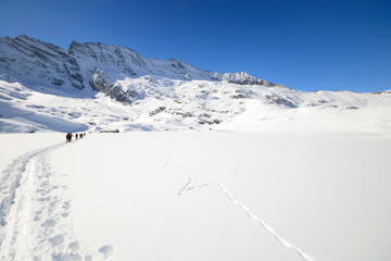 Fototapeta na wymiar Mountaineering in winter