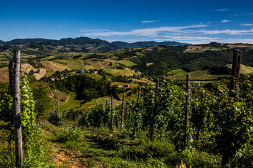 Fototapeta na wymiar Wzgórza Włoch