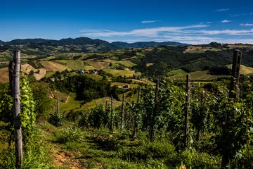 Fotobehang Italy's hills © DavideRovani