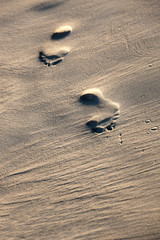 Fototapeta na wymiar footprints on a sandy beach