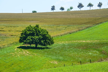 Country landscape in Aveyron (France)