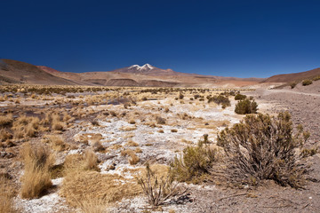 Bolivia - volcano Uturuncu