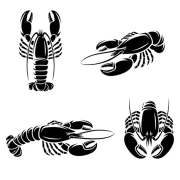 Lobster set. Vector