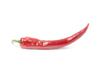 Red hot chili pepper