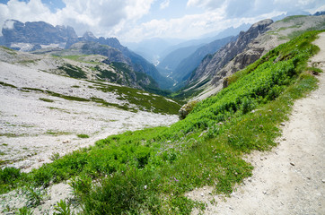 PAESAGGIO MONTANO