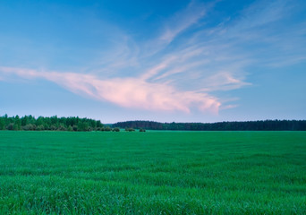 Fototapeta premium sunset with beautiful sky over green field