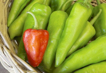 pepper on basket