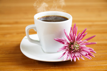 Chocolate candy, cinnamon and coffee beans