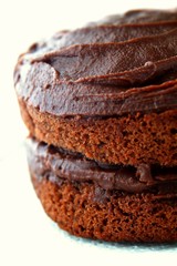 layered chocolate sponge cake