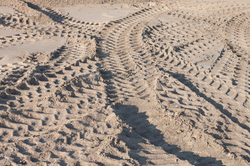 Tire Tracks in the Sand