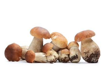 The boletus edulis isolated on white