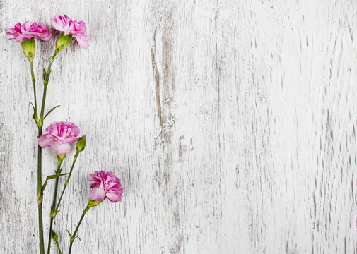Pink carnation isolated on wooden background