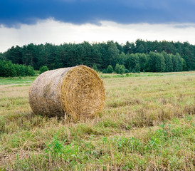 straw bale on stubble field under stormy sky