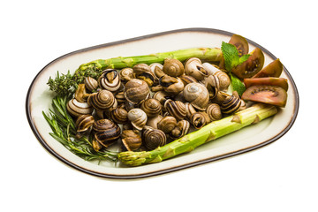 Fototapeta premium Escargot with asparagus, rosemary, thymus and tomato