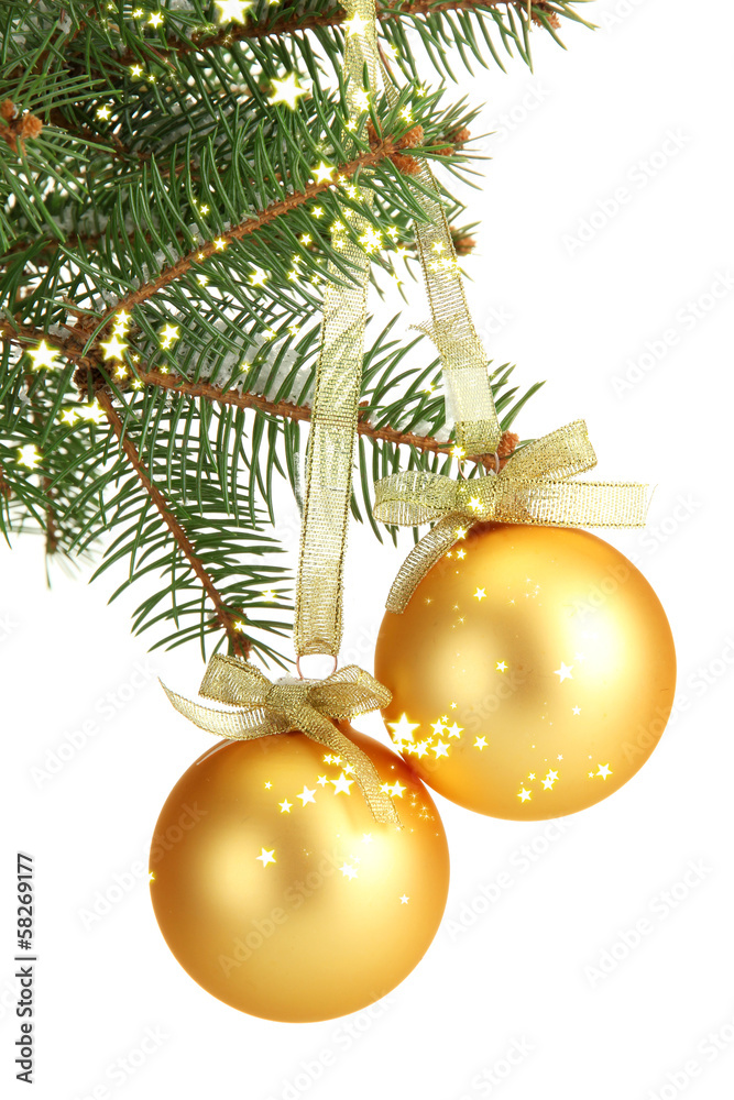 Canvas Prints christmas balls on fir tree, isolated on white