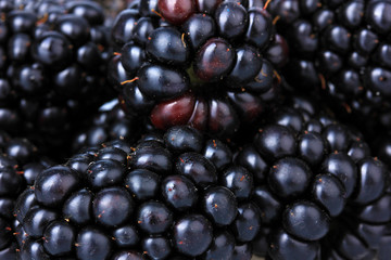 Sweet blackberries close-up © Africa Studio