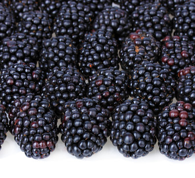 Sweet blackberries on white background