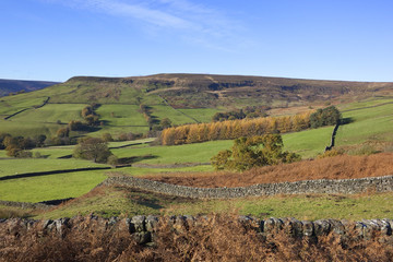 Fototapeta premium north york moors autumn