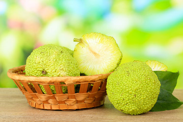 Osage Orange fruits (Maclura pomifera) in basket,