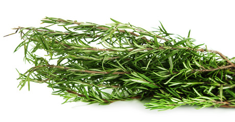 Fresh rosemary, isolated on white
