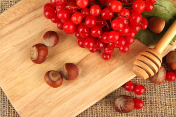 Red berries of viburnum with nuts on sackcloth background