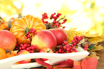 Beautiful autumn composition, on nature background