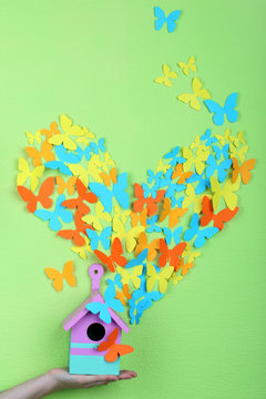 Paper butterflies fly out of nesting box