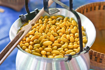 silk cocoon boiling