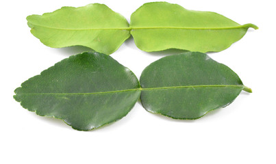 Kaffir lime leaves.